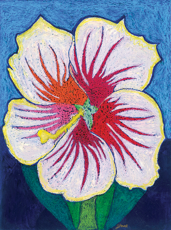 Artist rendering of a Cold Harbor Hibiscus.