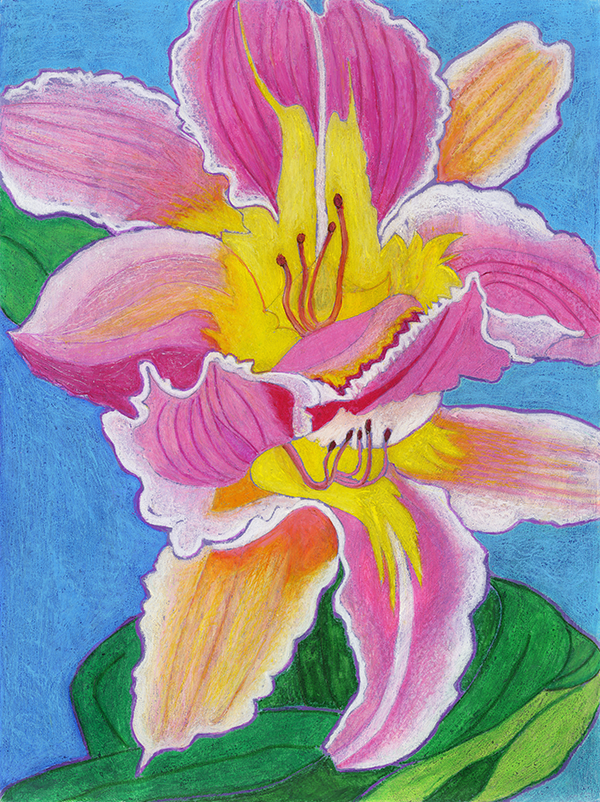 Rendering of a pink Easter Lily flower.